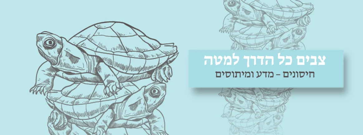 צבים כל הדרך למטה